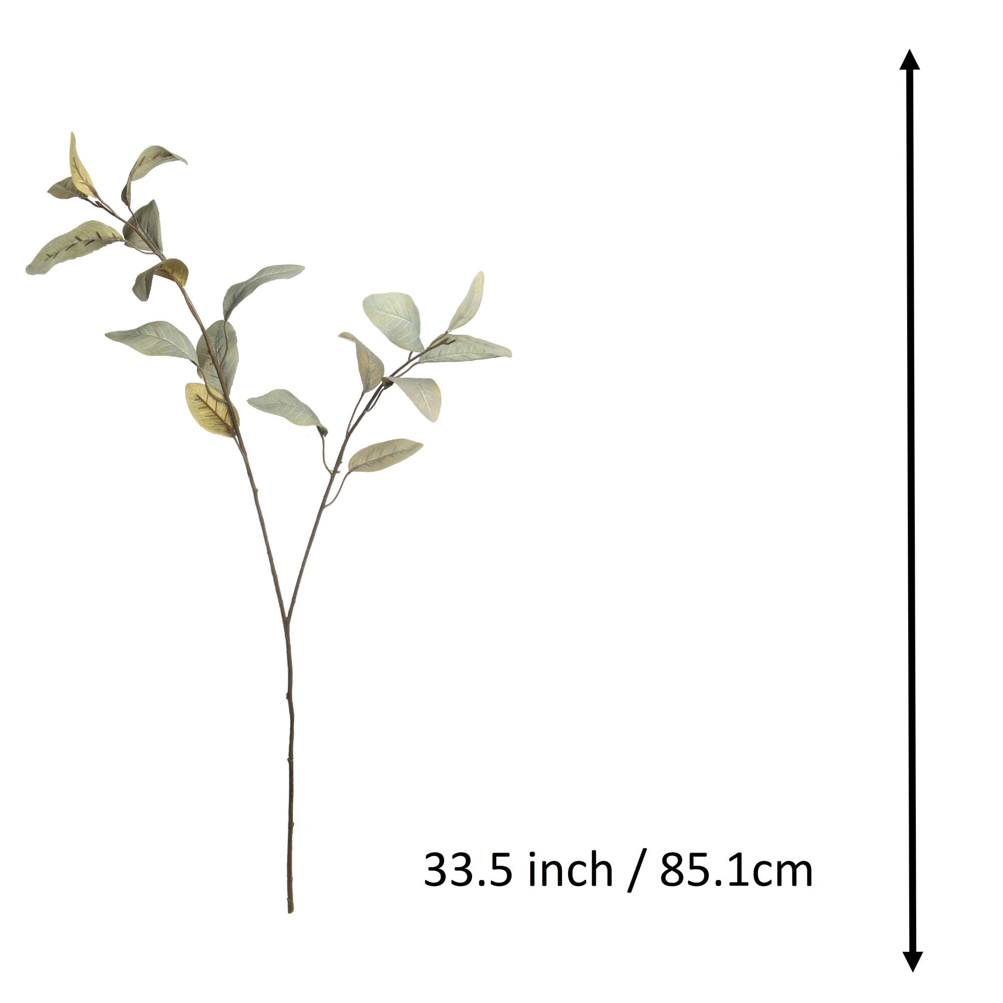 Green Feather Eucalyptus Stem by Ashland®